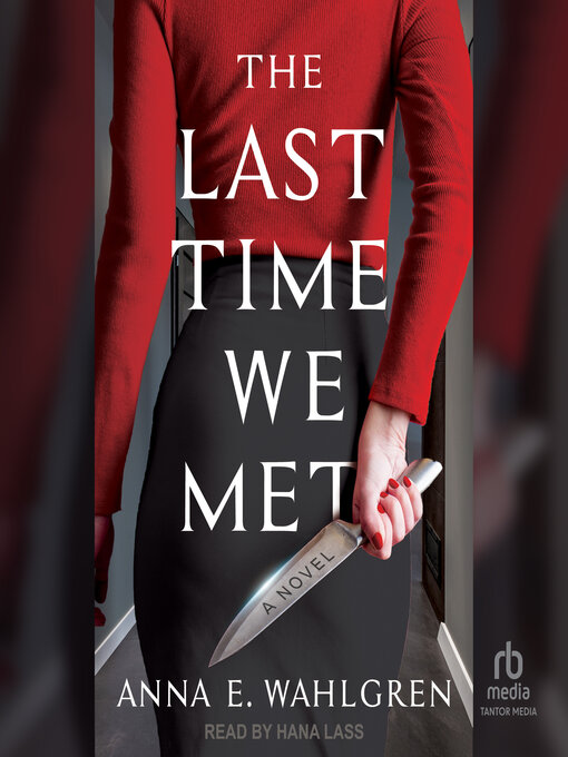 Title details for The Last Time We Met by Anna E. Wahlgren - Available
